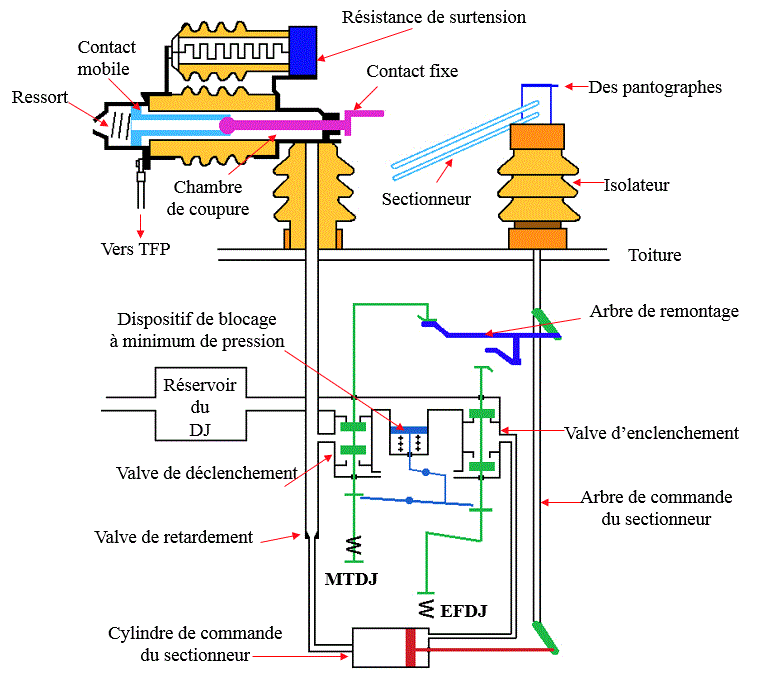 schema general du dbtf