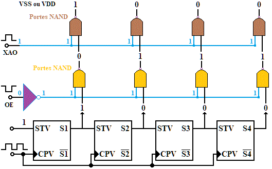 Le signal XAO (RESET FONCTION)